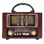 رادیو بلوتوثی ان ان اس مدل NS-6638BT